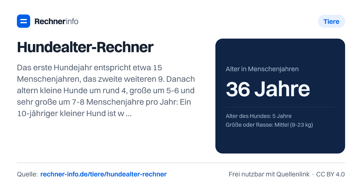 Hundealter-Rechner: Das erste Hundejahr entspricht etwa 15 Menschenjahren, das zweite weiteren 9. Danach altern kleine Hunde um rund 4, große um 5-6 und sehr große um 7-8 Menschenjahre pro Jahr: Ein 10-jähriger kleiner Hund ist wie ein 56-jähriger Mensch, ein großer wie 66.